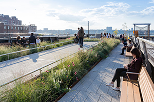 High Line JS